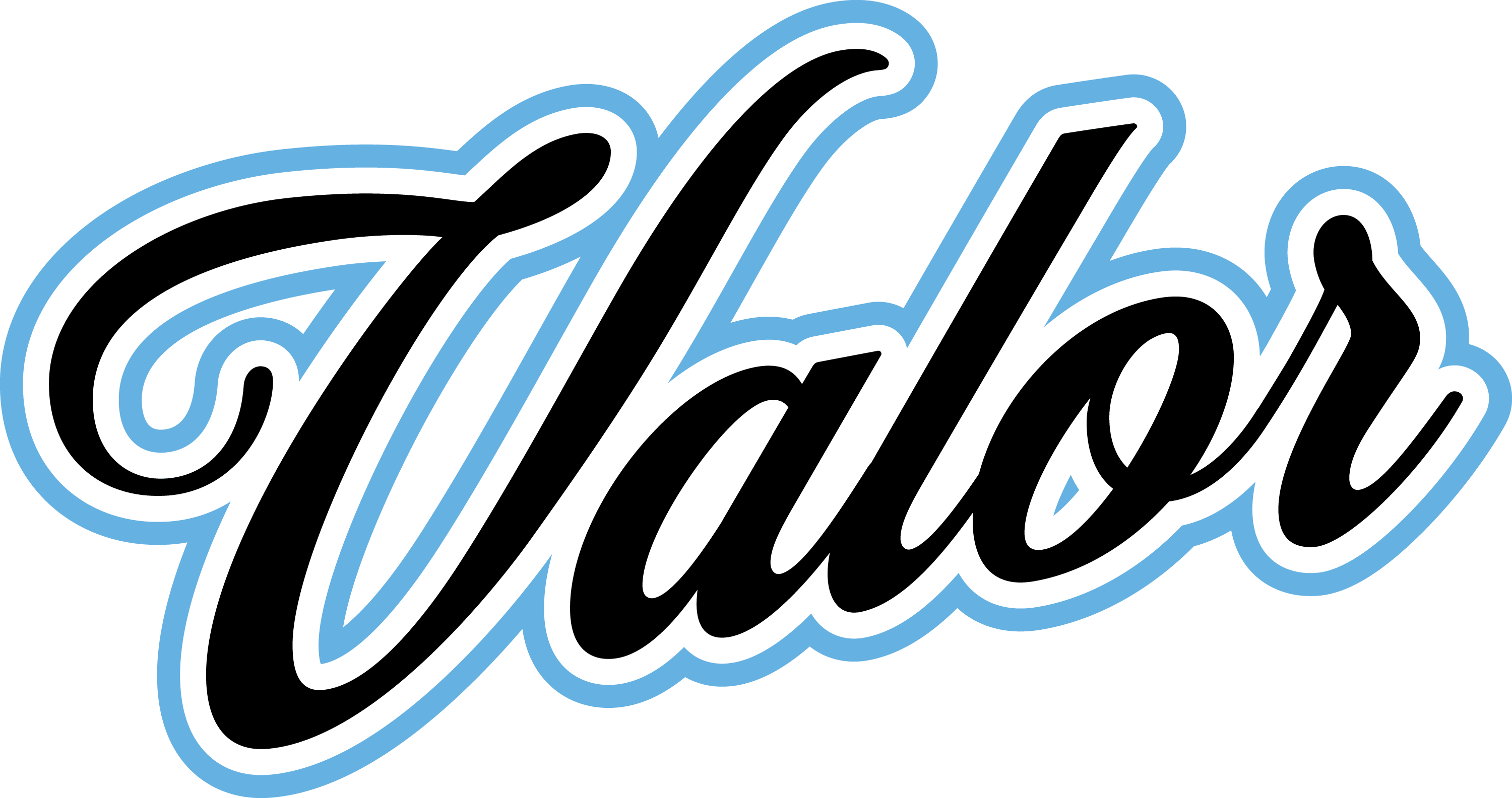 TN Valor logo